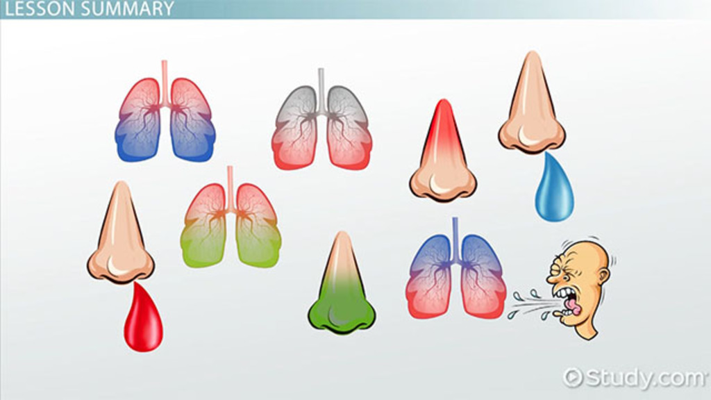 Diseases of the Upper Respiratory System Terminology Video & Lesson