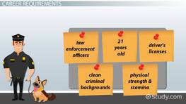 dog handler training courses