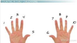 Tally Chart: Definition & Examples