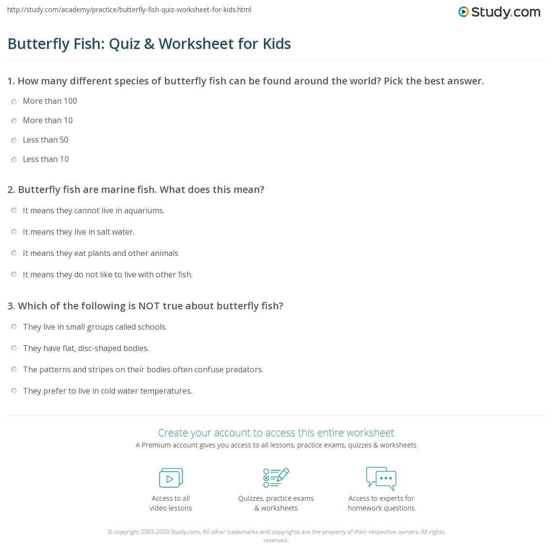 Butterfly Fish: Quiz & Worksheet for Kids | Study.com