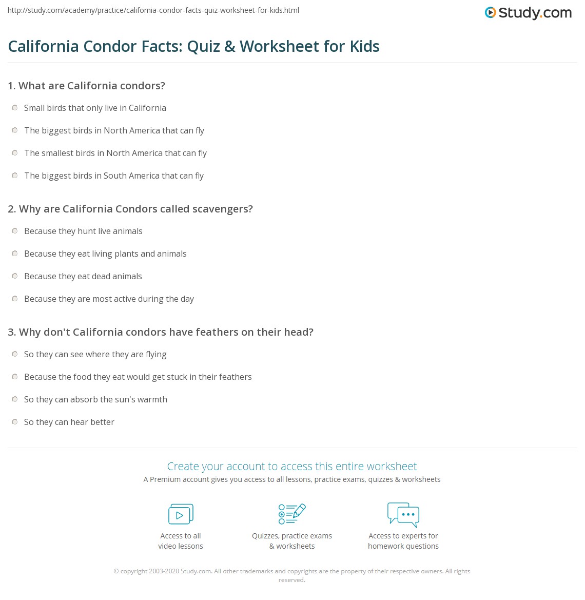 California Condor Facts Quiz Worksheet For Kids Study california-condor-facts-quiz-worksheet-for-kids-study