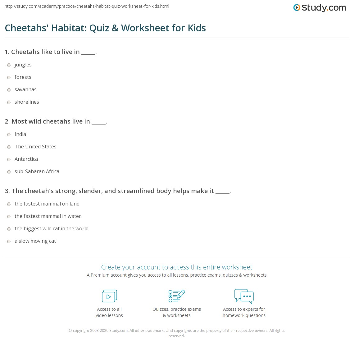 Cheetahs' Habitat: Quiz & Worksheet for Kids | Study.com