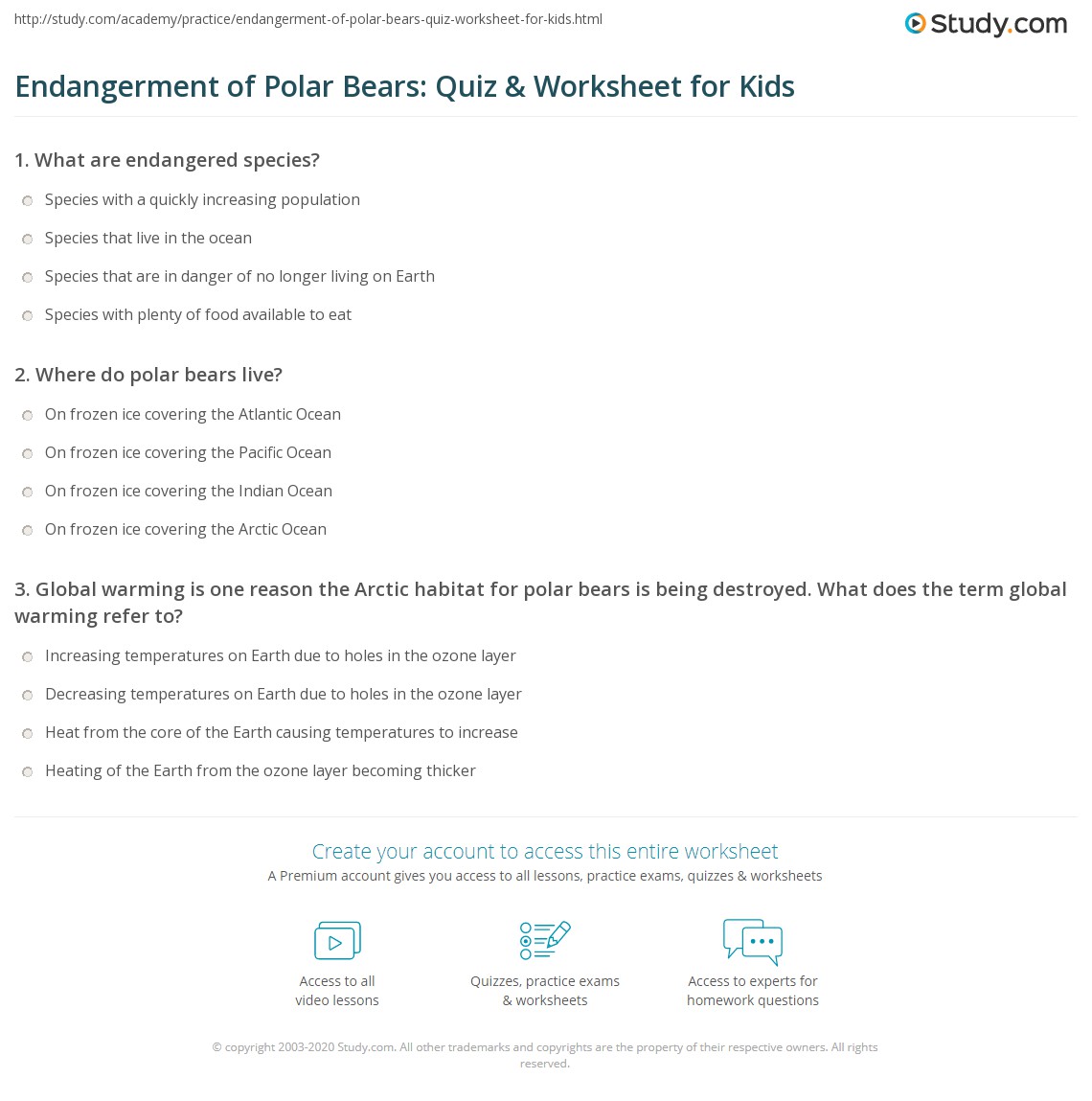 Endangerment of Polar Bears: Quiz & Worksheet for Kids | Study.com