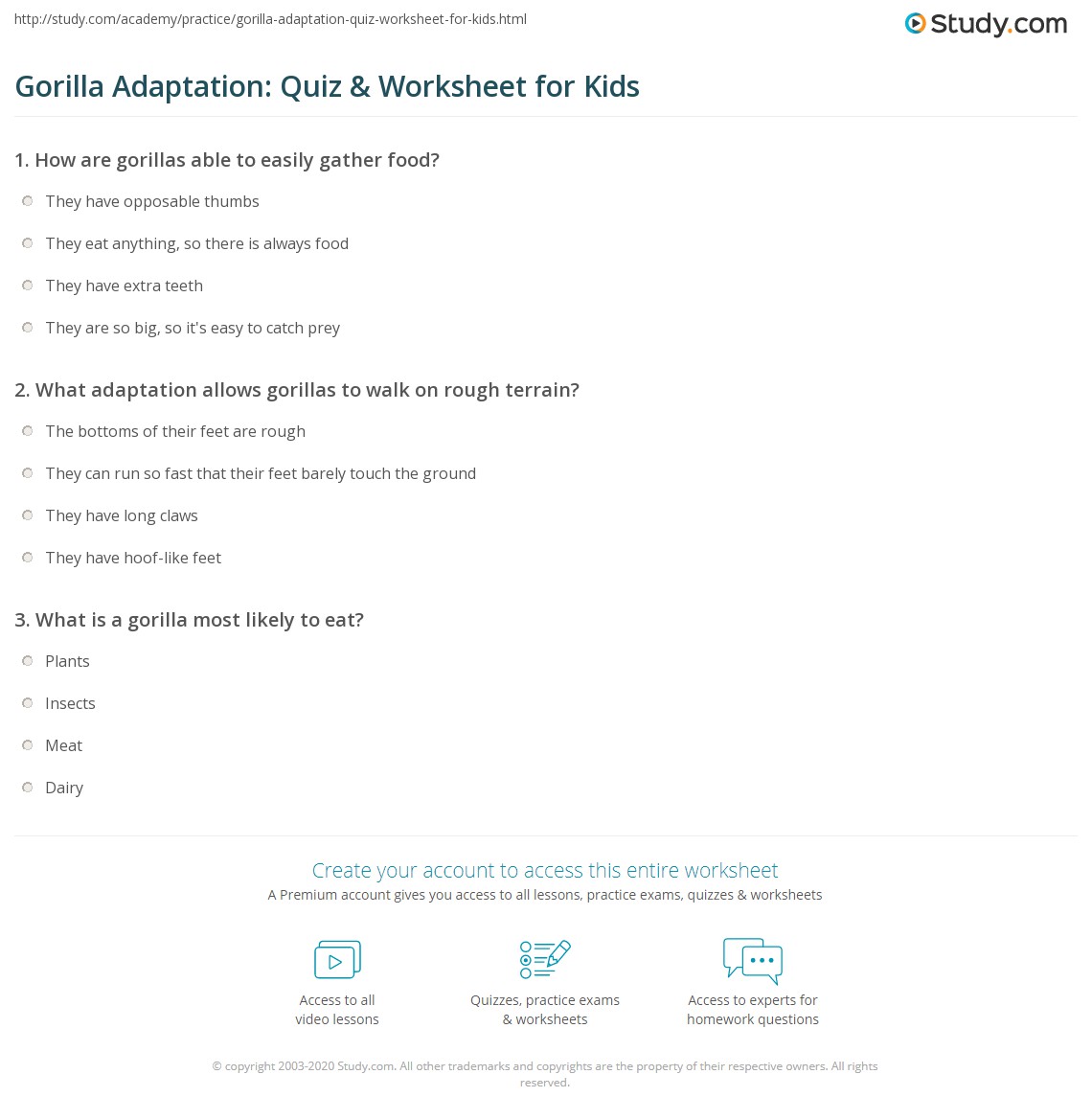 Gorilla Adaptation: Quiz & Worksheet for Kids | Study.com