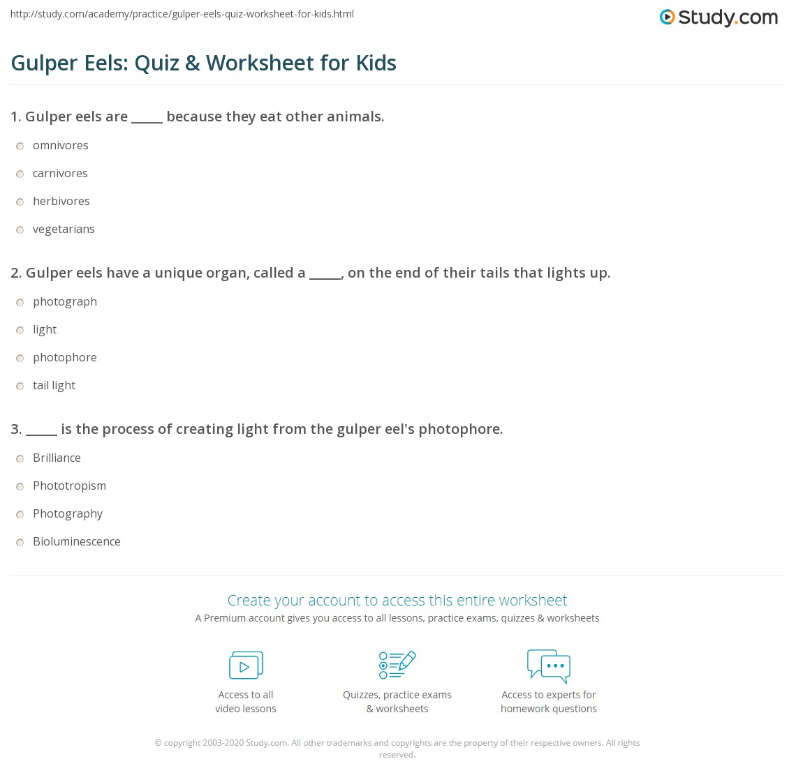Gulper Eels: Quiz &amp; Worksheet for Kids | Study.com