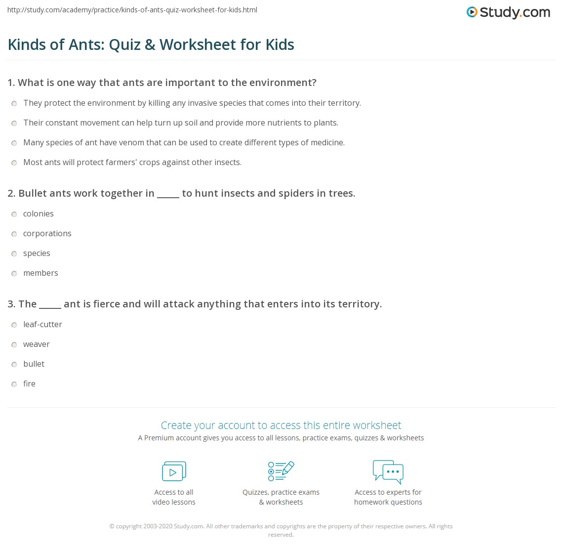 Kinds of Ants: Quiz & Worksheet for Kids | Study.com