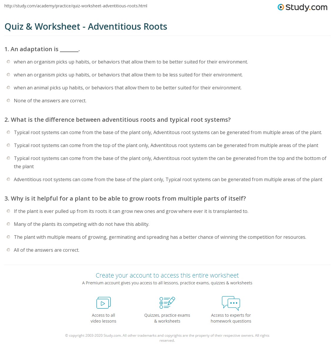Quiz & Worksheet - Adventitious Roots | Study.com