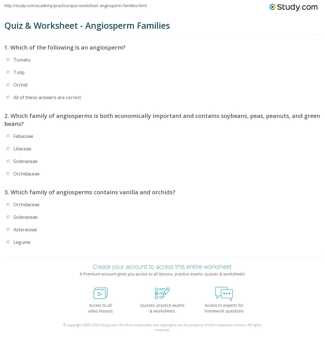 Quiz &amp; Worksheet - Angiosperm Families | Study.com