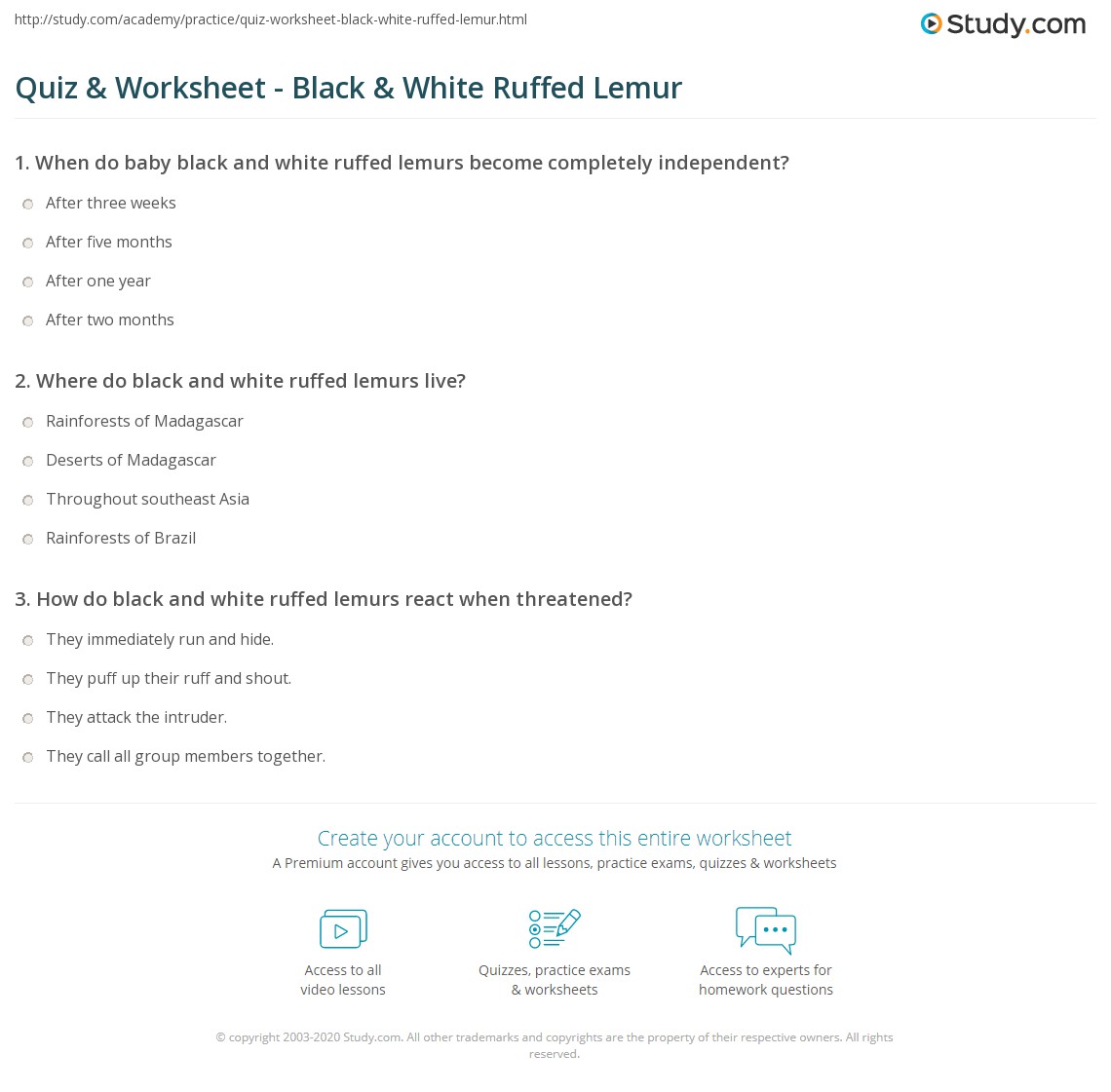 Quiz &amp; Worksheet - Black &amp; White Ruffed Lemur | Study.com