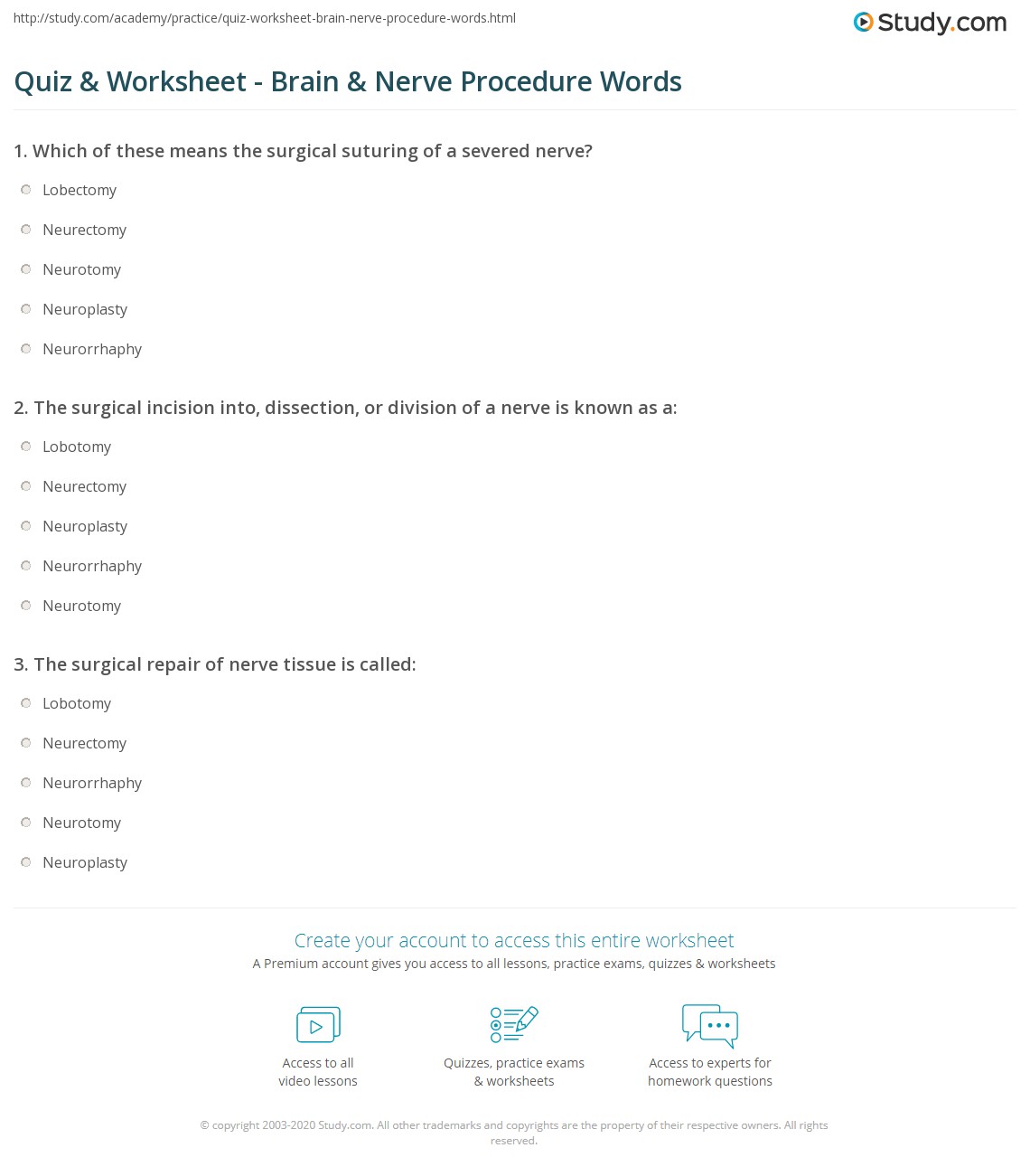 Quiz & Worksheet - Brain & Nerve Procedure Words | Study.com