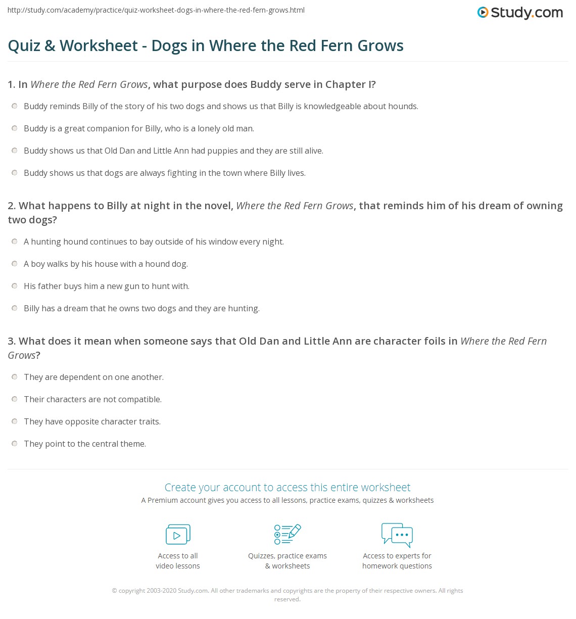Quiz & Worksheet - Dogs in Where the Red Fern Grows | Study.com