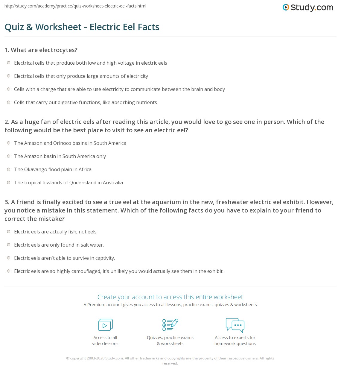 Quiz &amp; Worksheet - Electric Eel Facts | Study.com