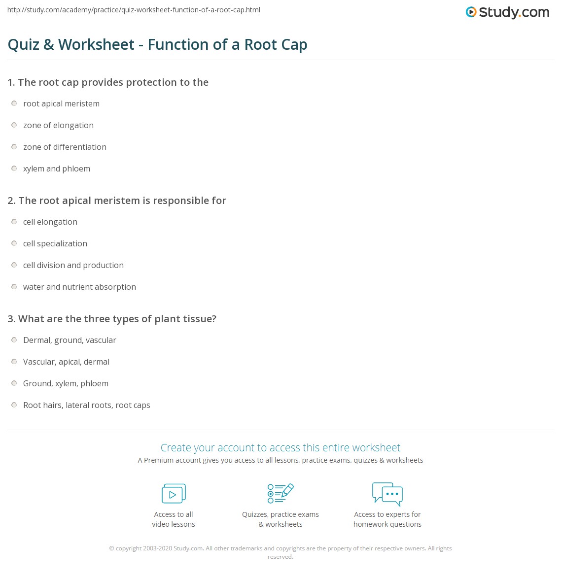 Quiz & Worksheet - Function of a Root Cap | Study.com