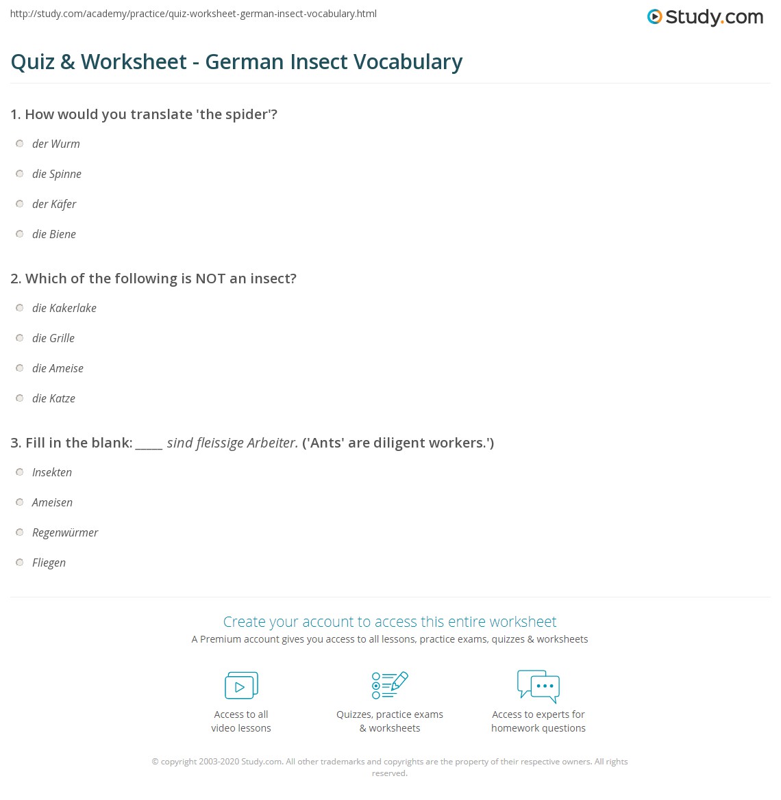 Quiz & Worksheet - German Insect Vocabulary | Study.com