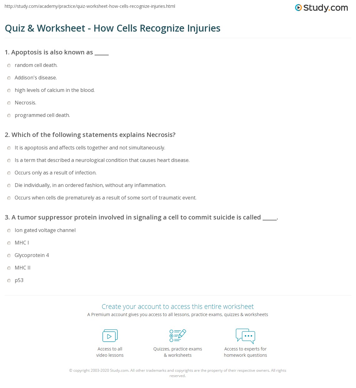Quiz & Worksheet - How Cells Recognize Injuries | Study.com