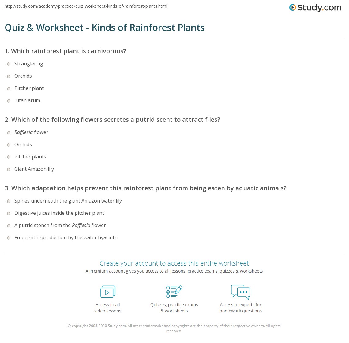 Quiz & Worksheet - Kinds of Rainforest Plants | Study.com