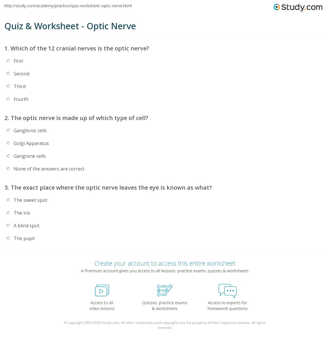 Quiz & Worksheet Optic Nerve
