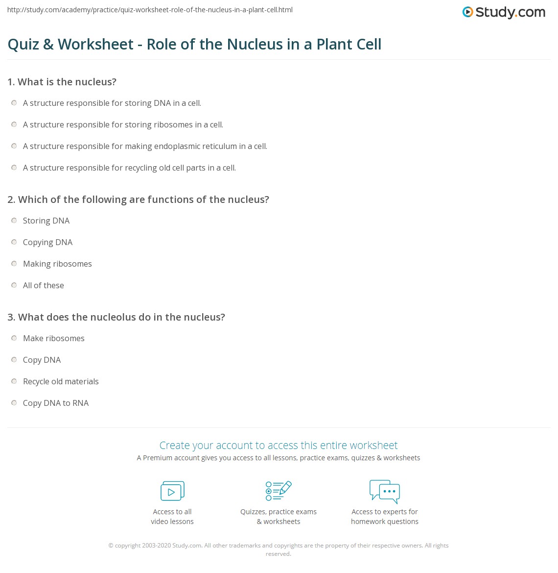 Quiz & Worksheet - Role of the Nucleus in a Plant Cell | Study.com