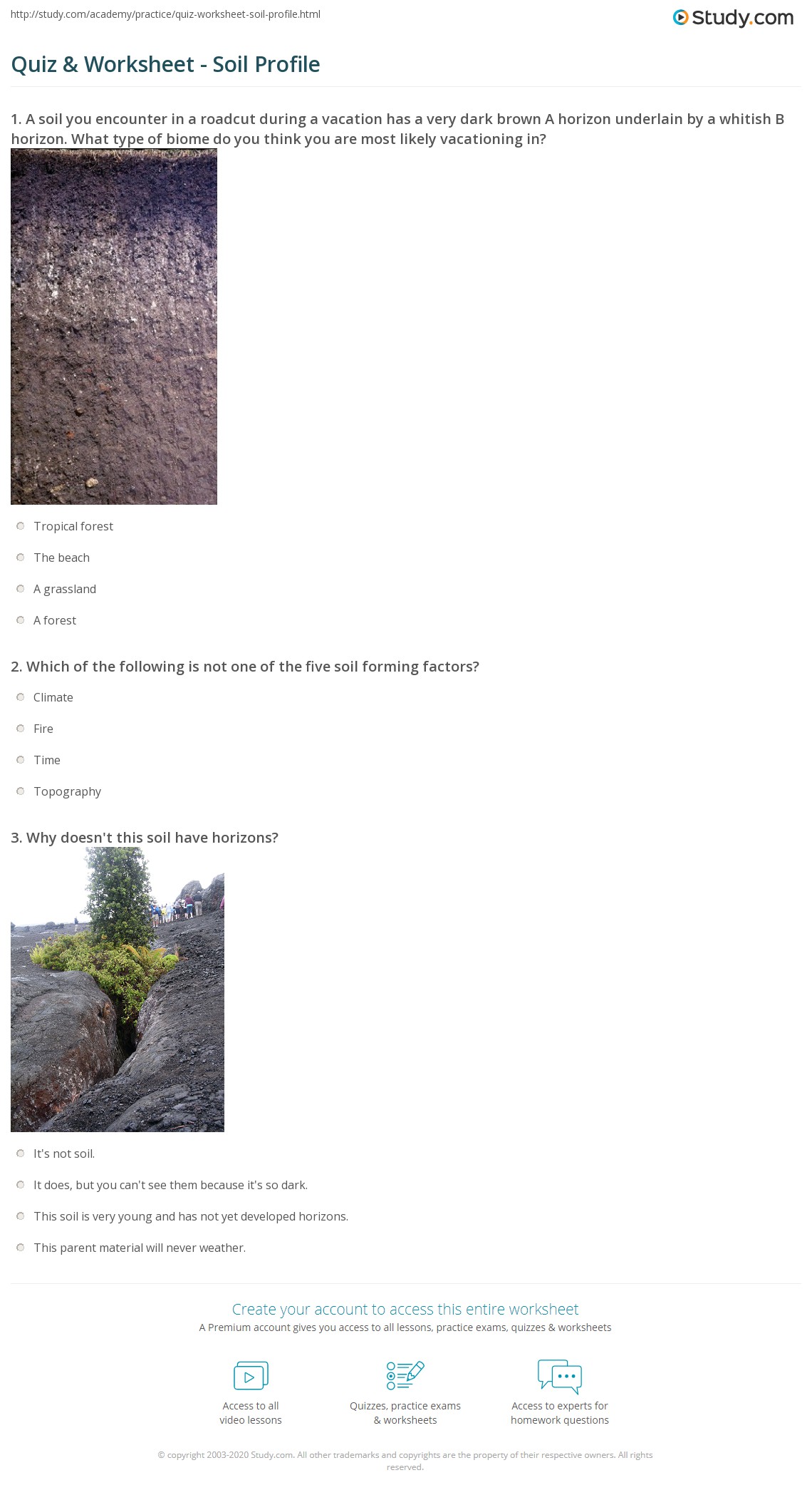Quiz Worksheet Soil Profile Study