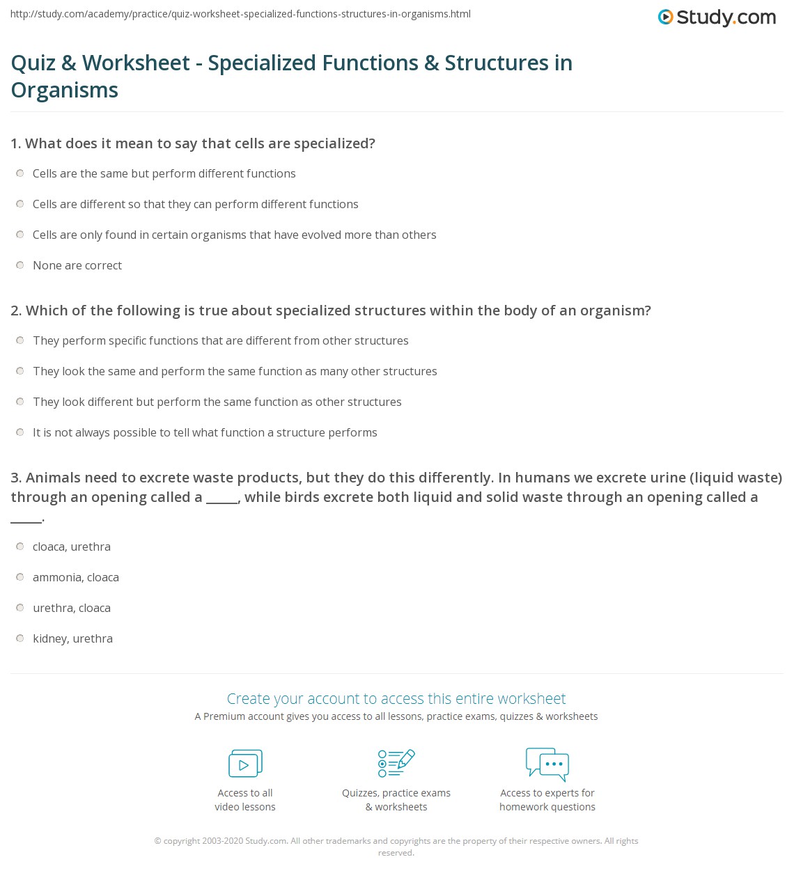 Quiz & Worksheet - Specialized Functions & Structures in Organisms ...