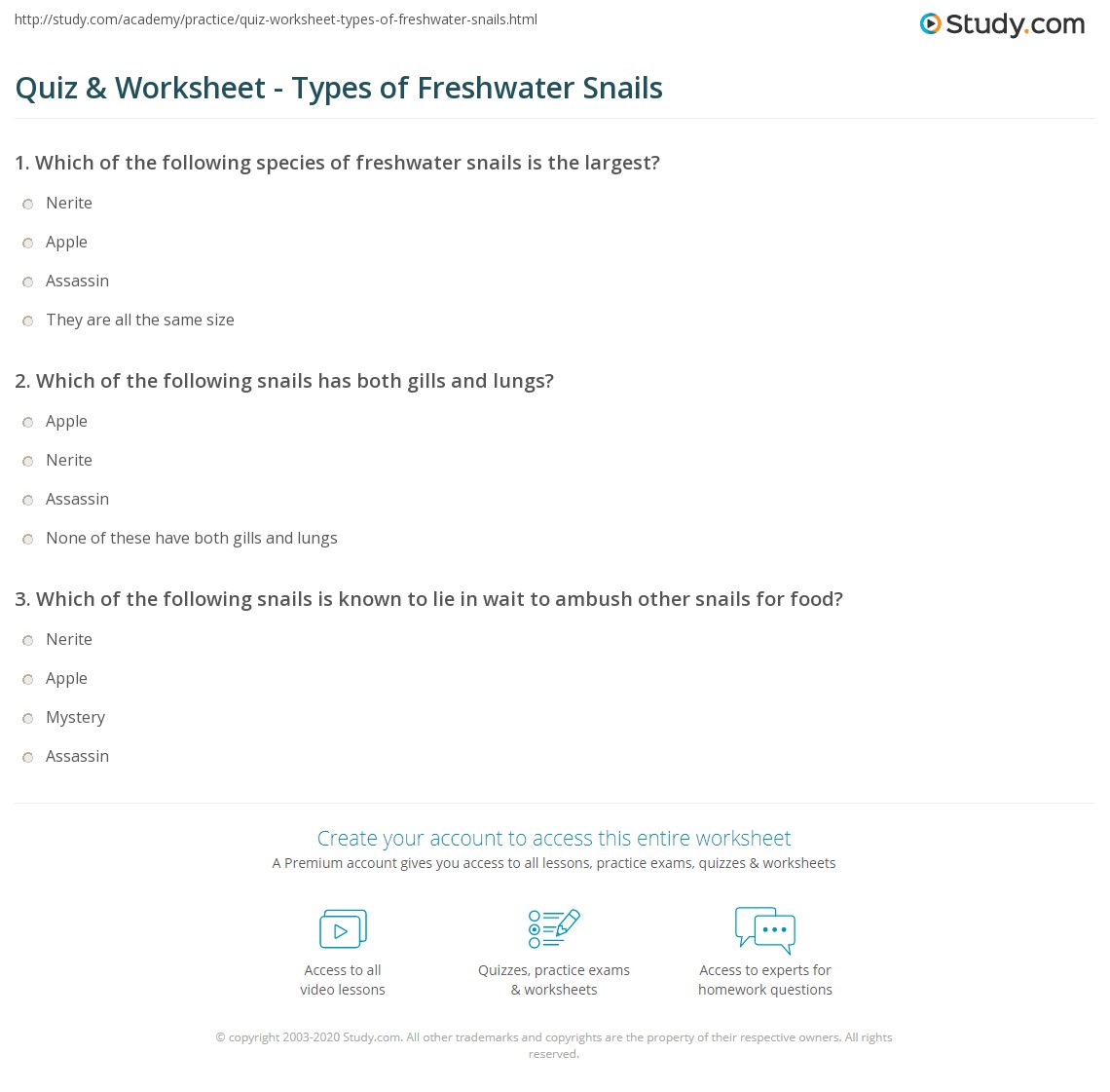 Snail Work Question Quiz & Worksheet - Types of Freshwater Snails | Study.com