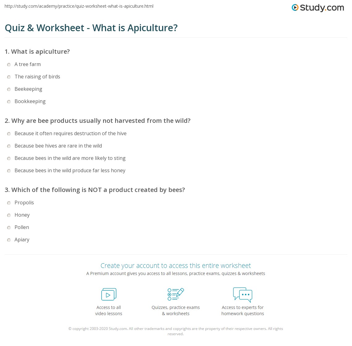 Quiz & Worksheet - What is Apiculture? | Study.com