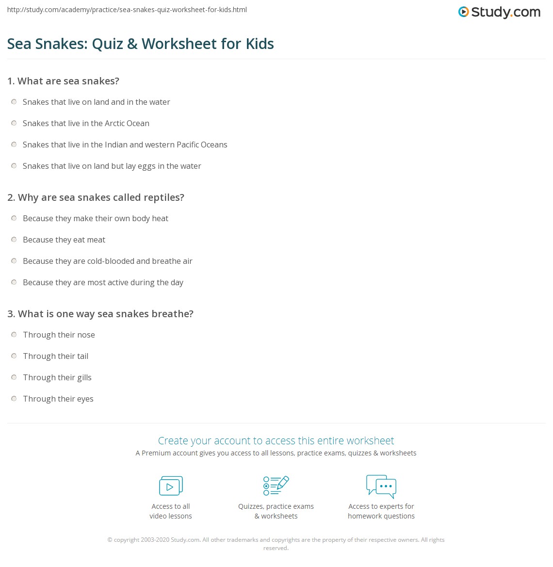 Sea Snakes: Quiz & Worksheet for Kids | Study.com