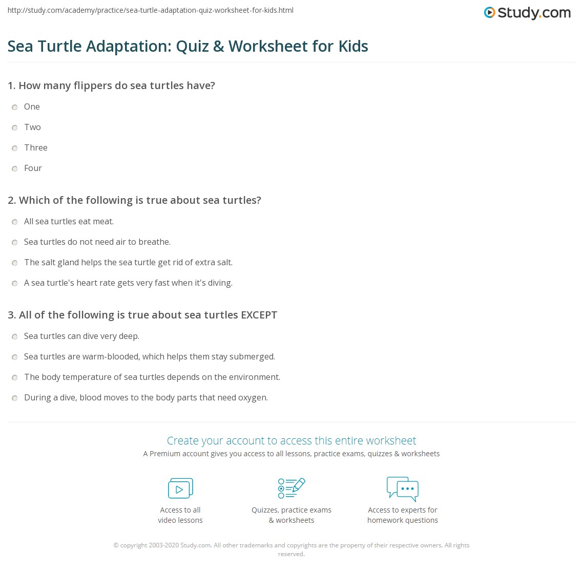 Turtle Test Sea Turtle Adaptation: Quiz & Worksheet for Kids | Study.com