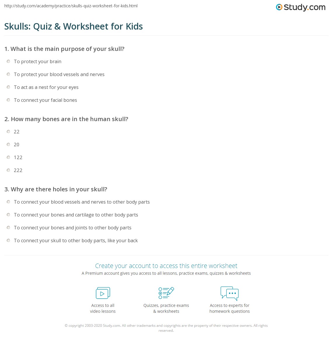 Skulls: Quiz &amp; Worksheet for Kids | Study.com