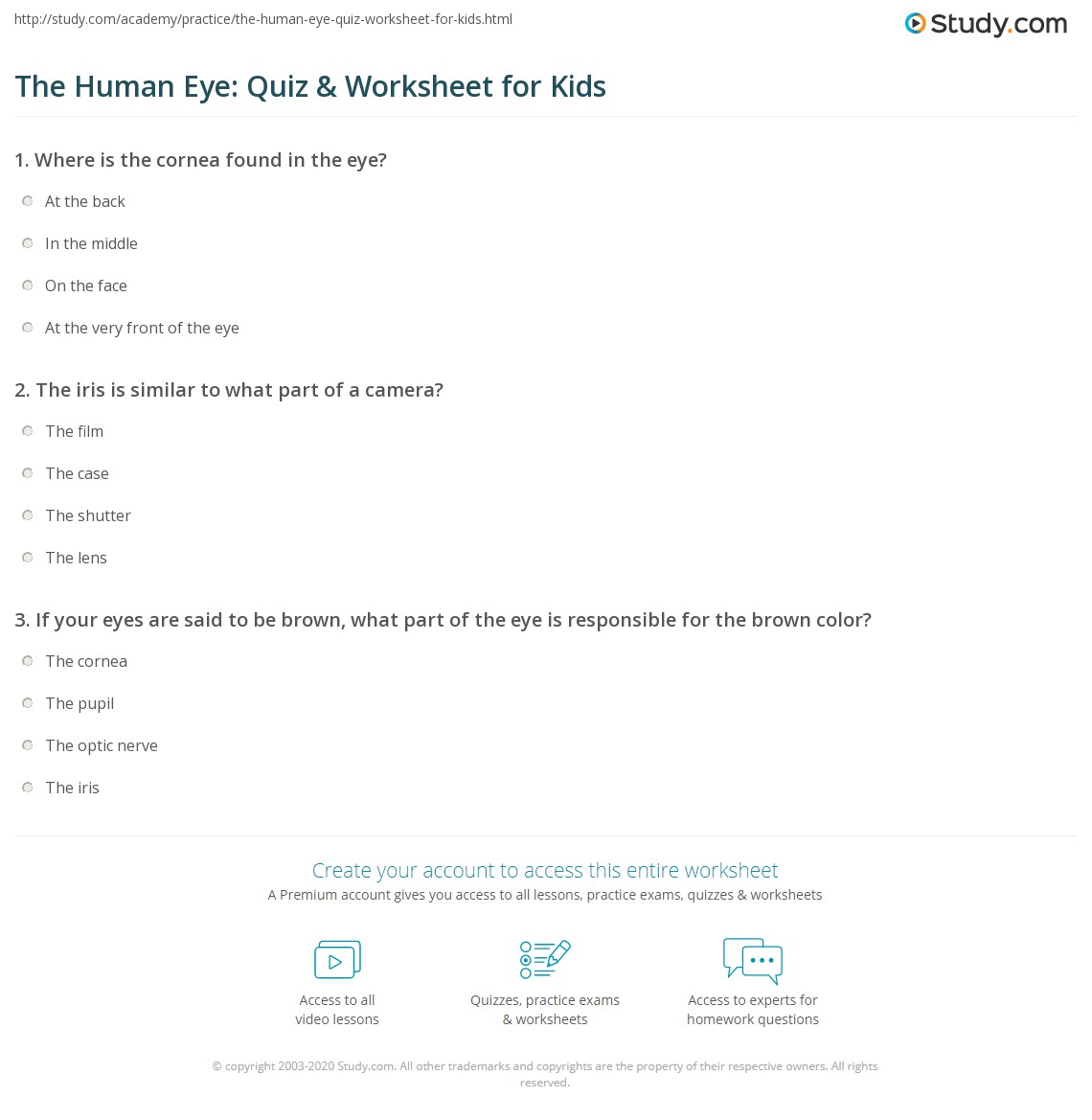 The Human Eye Quiz Worksheet For Kids Study
