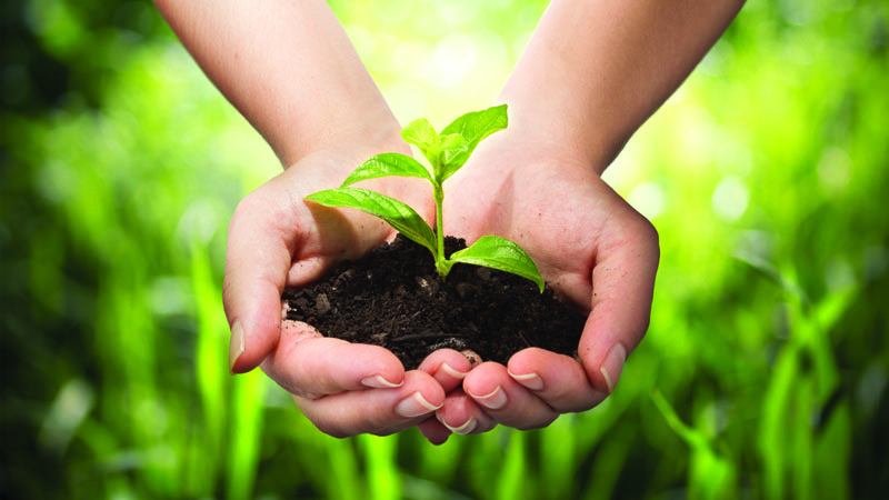 Natural Sciences For Teachers Professional Development Course Online