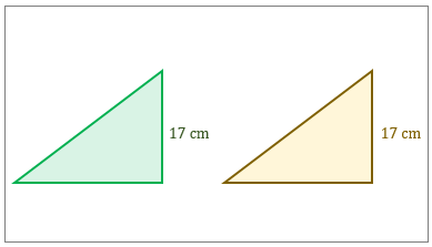 Identifying Congruent Polygons Practice | Algebra Practice Problems