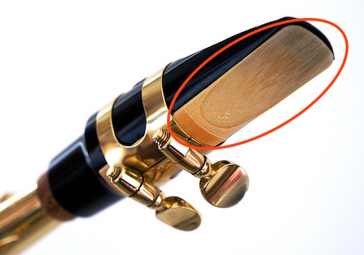 Instrumental Reed Flashcards - Musical Instruments List & Flashcards | Study.com