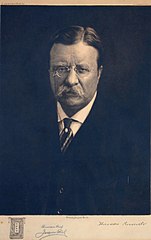 Bully Pulpit | Definition & Examples - Lesson | Study.com