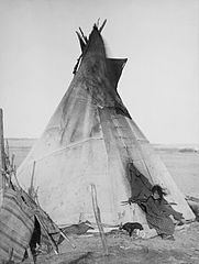 Native American Tribes & Regions | Adaptation & Innovations - Lesson ...