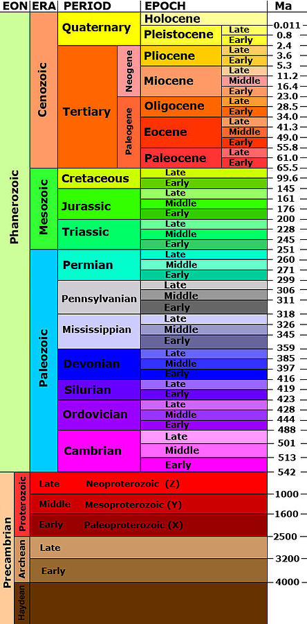 Earth History Timeline Scale
