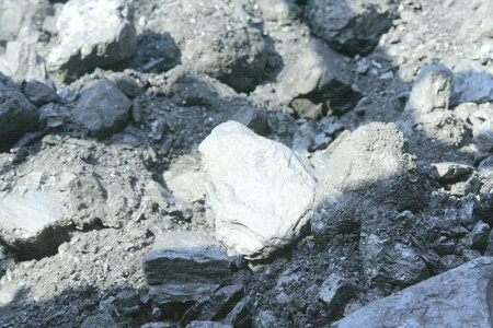 net weight vs gross weight