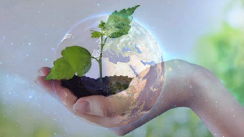 What Is Ecology Definition Explanation Video Lesson Transcript Study Com