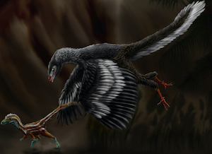 Image of Archaeopteryx