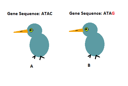 Differentiating between Evolutionary Processes Practice | Biology ...