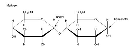 Both Maltose And Lactose Are Reducing Sugars But Sucrose Is A Non Reducing Sugar Explain Why Study Com