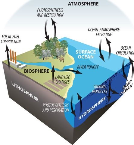 Identify the natural cycle that is shown in the diagram. Then, for each