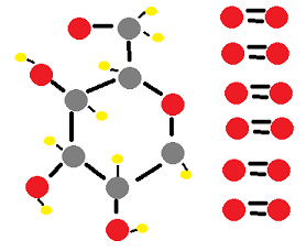 Mass Changes With Gases Study