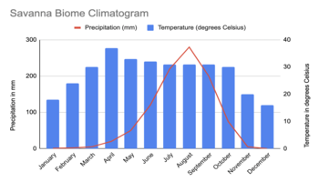Savanna Average Temperature Graph