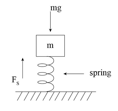 Spring Free Body Diagram _ Free-Body Diagram – NVDK