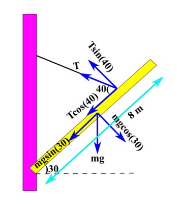 A uniform, 8.0 m, 1000 kg beam is hinged to a wall and supported by a