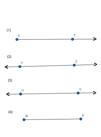 Naming Segments, Rays and Lines Practice | Geometry Practice Problems ...