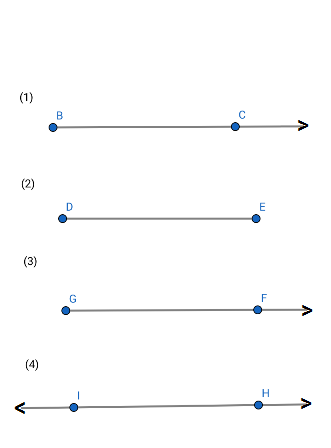Naming Segments, Rays and Lines Practice | Geometry Practice Problems ...