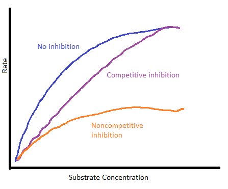 Comparing & Contrasting the Structures of Different Active Sites ...