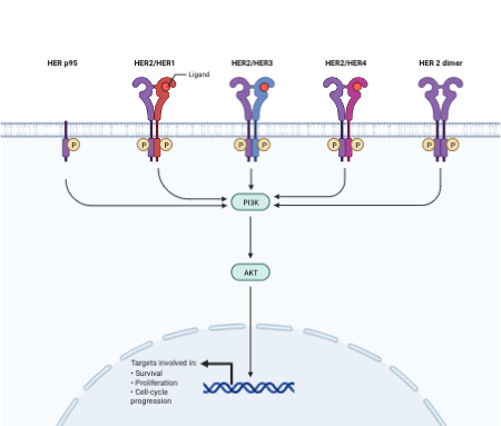 Analyzing the Relationship between Cancer & Regulation of Gene ...